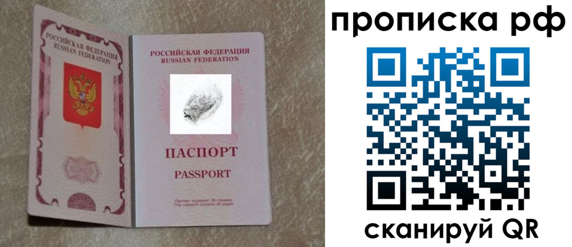 прописка поиск в Приозерске